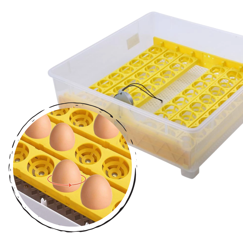 Incubateur d'oeufs automatique 48 oeufs