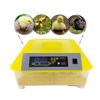 Incubateur d'oeufs automatique 48 oeufs