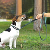 Laisse et Collier en Cuir Gravé pour Chien