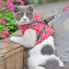 Harnais Ajustable Pour Chat et sa laisse DOGLEMI