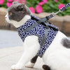 Harnais Ajustable Pour Chat et sa laisse DOGLEMI