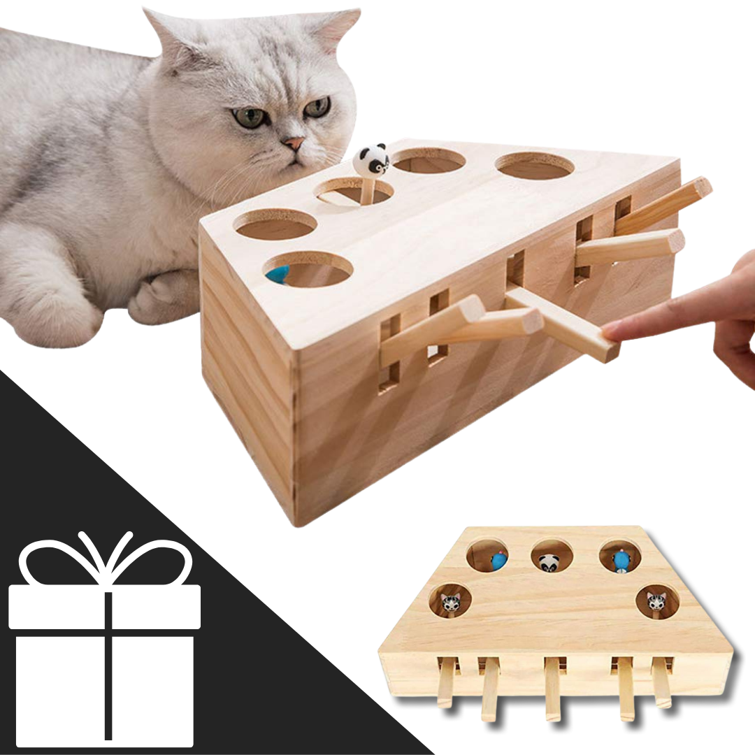 Jouet interactif en bois pour chat