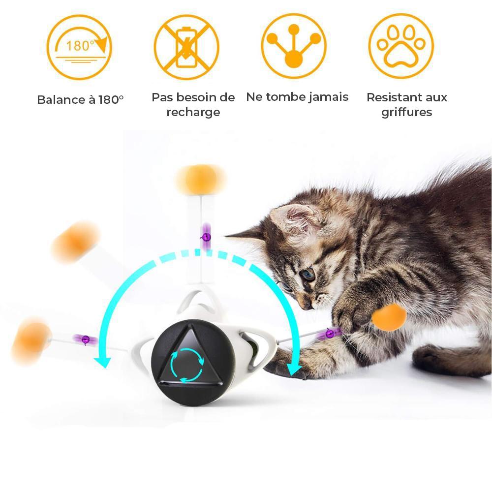 BACHT™- Balle Interactive avec Herbe à Chat