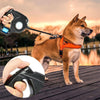 Laisse pour chien avec lumière