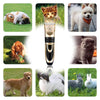 Tondeuse pour chien