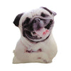 Coussin chien 3D
