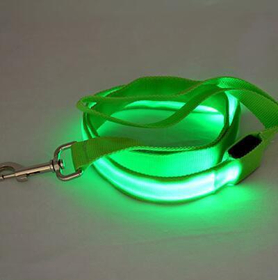 Laisse lumineuse pour chien