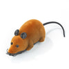 Souris télécommandée pour Chat