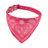 Bandana chien