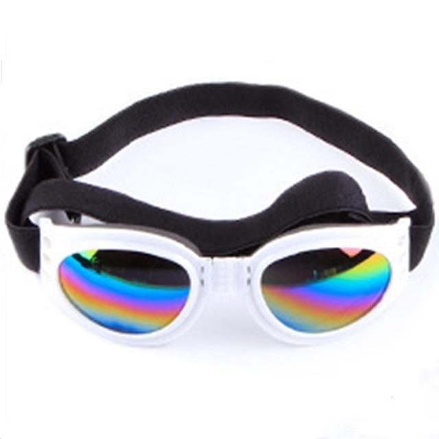 Lunettes de soleil pour chien
