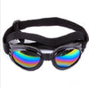 Lunettes de soleil pour chien