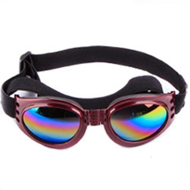 Lunettes de soleil pour chien