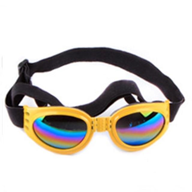 Lunettes de soleil pour chien