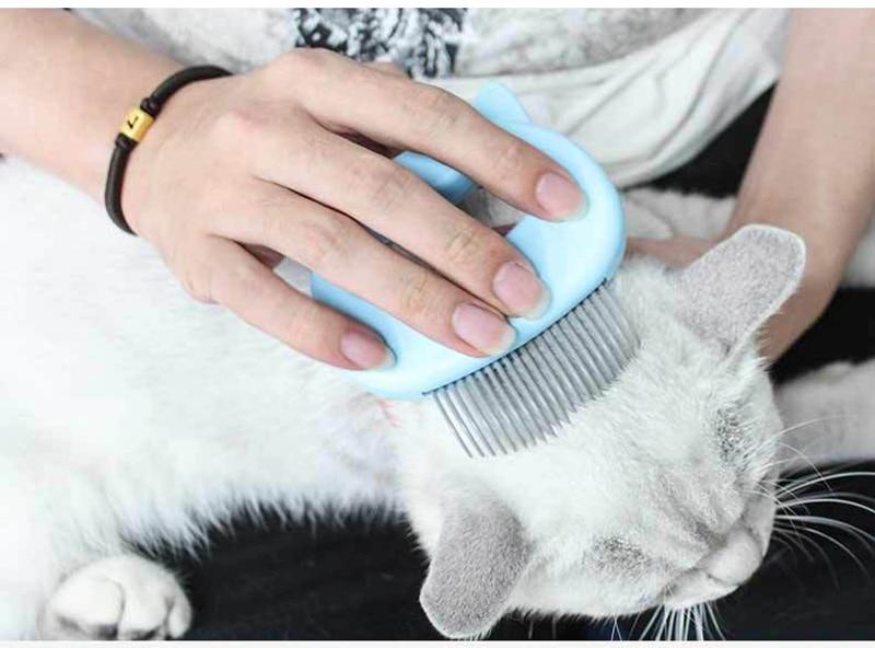 Brosse de Massage pour Chat