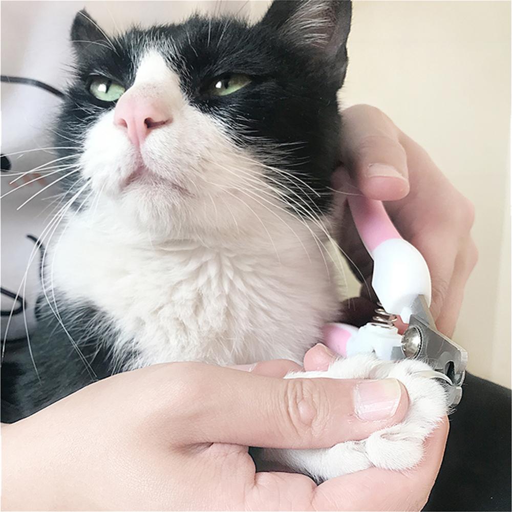 Coupe Ongle Chat