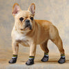 Chaussons imperméable pour chien
