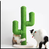 Arbre à chat cactus