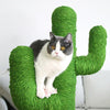 Arbre à chat cactus