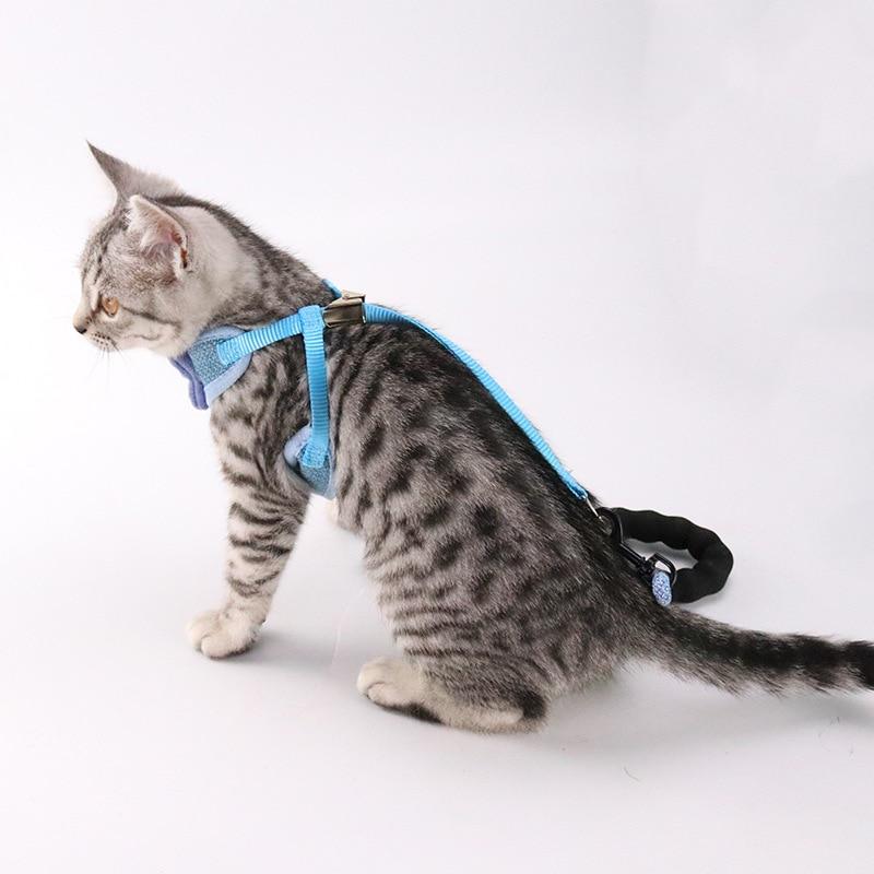 GENTLCAT™ - Harnais Gentleman pour Chat