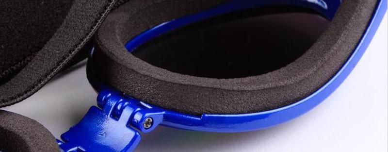 Lunettes de soleil pour chien