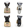 Ventouse smartphone chien